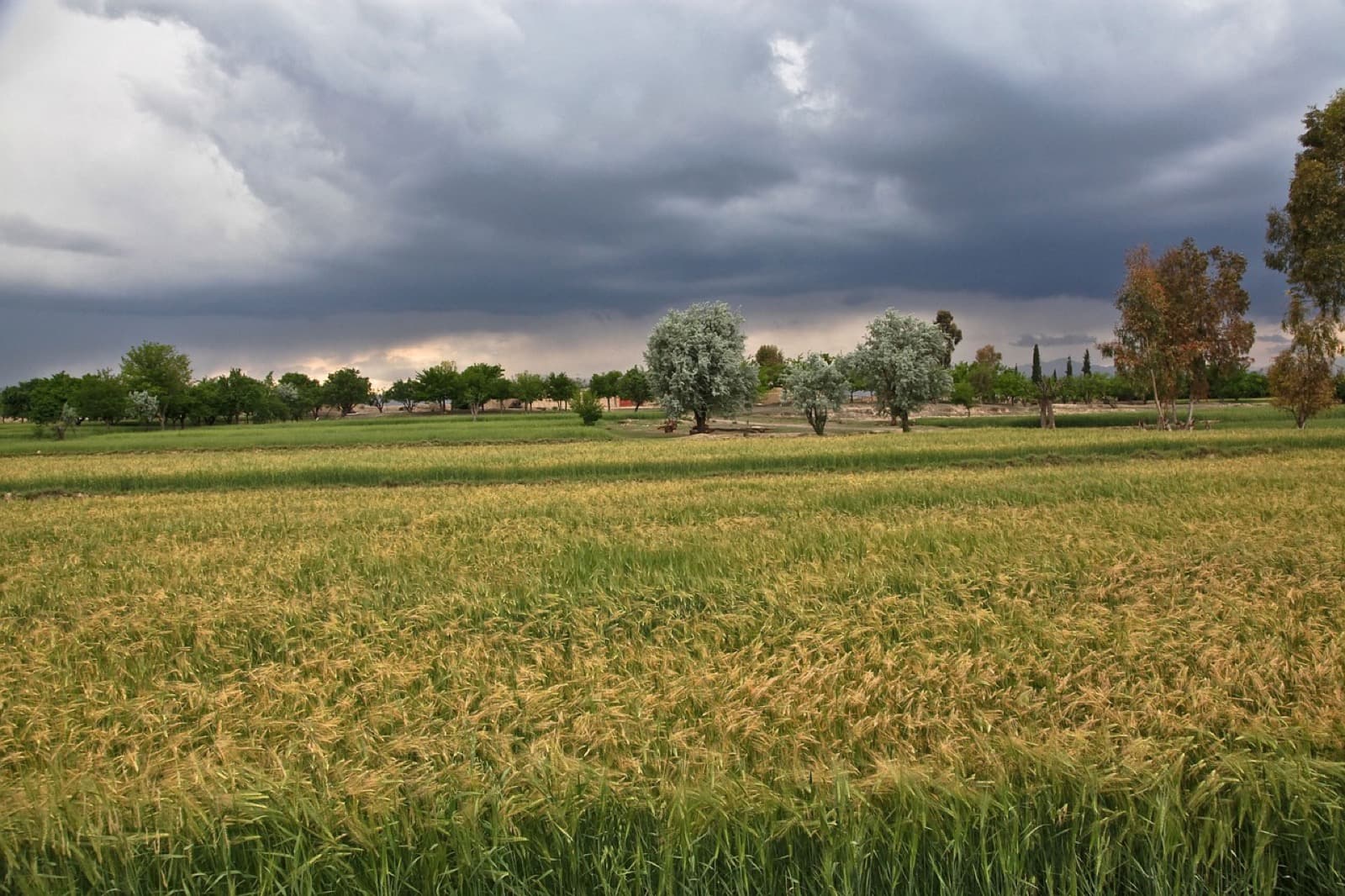 Open fields under a wide sky